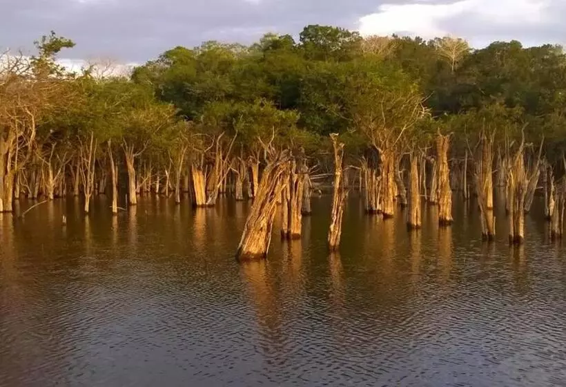 ペンション Pousada Recanto Maguary