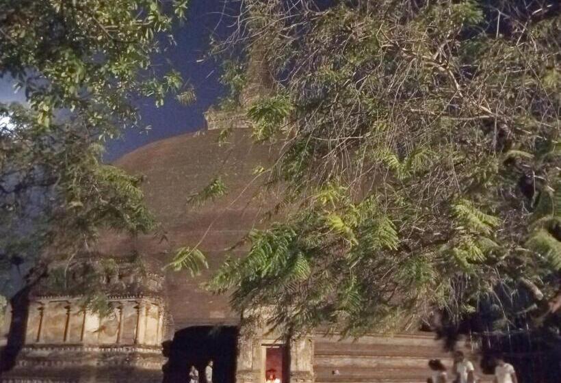 膳宿费 River Nature Park