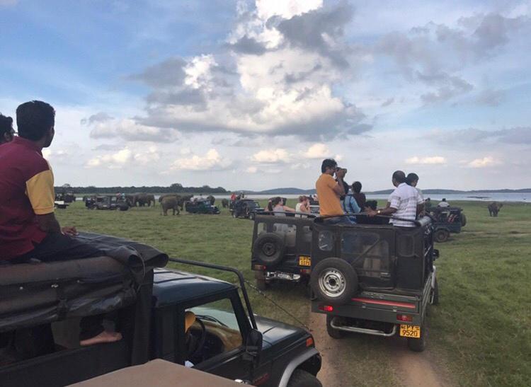 膳宿费 River Nature Park