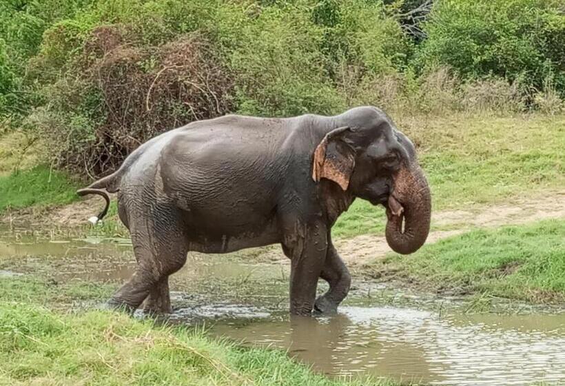 膳宿费 River Nature Park