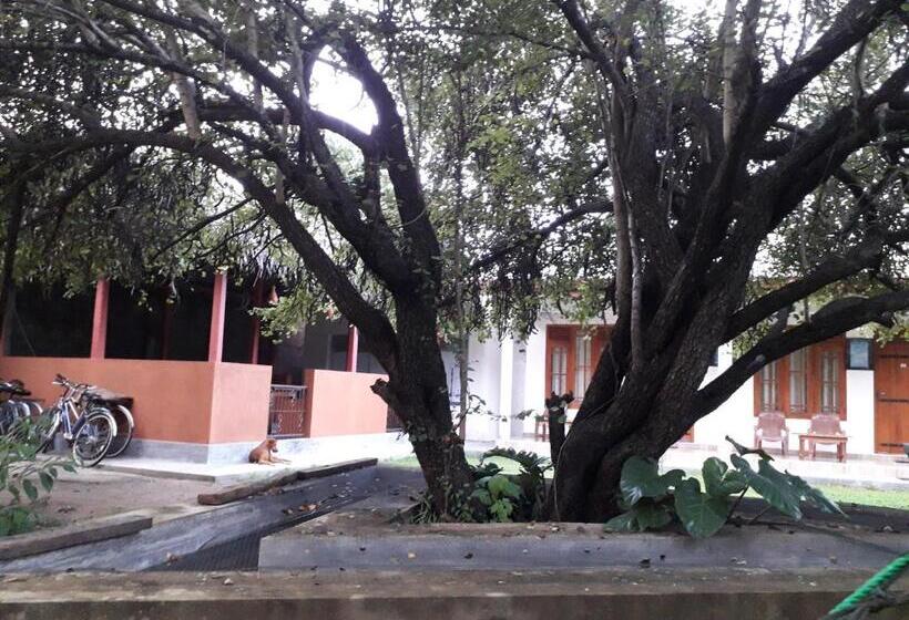 膳宿费 River Nature Park