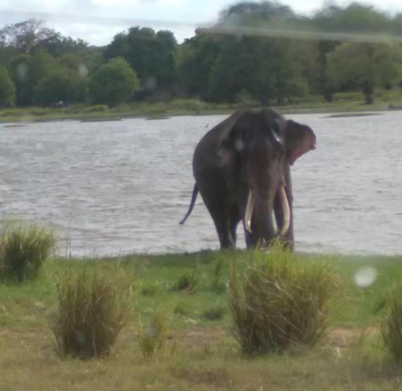膳宿费 River Nature Park