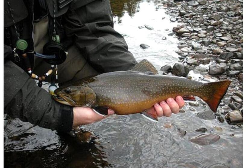 호스텔 Rangeley Saddleback Inn