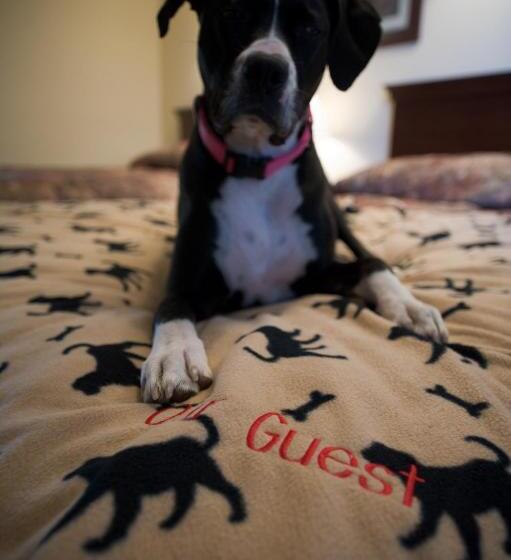 호스텔 Rangeley Saddleback Inn