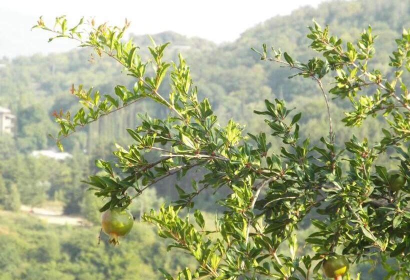 پانسیون Guesthouse Fatima