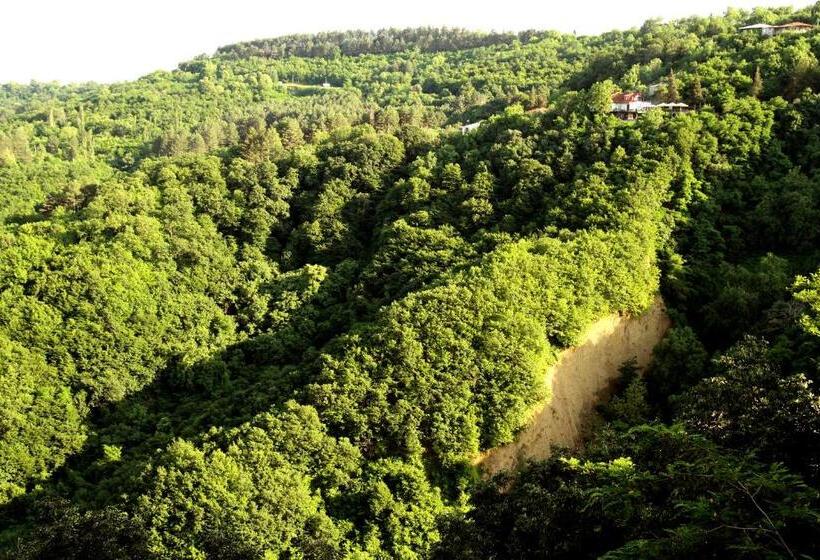 پانسیون Guesthouse Fatima