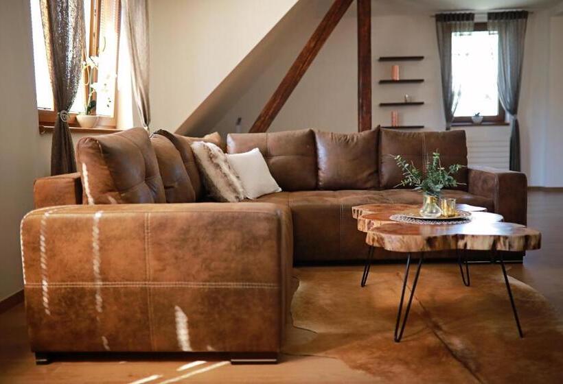 پانسیون Penzion Sokolská