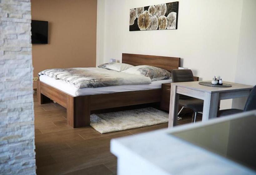 پانسیون Penzion Sokolská