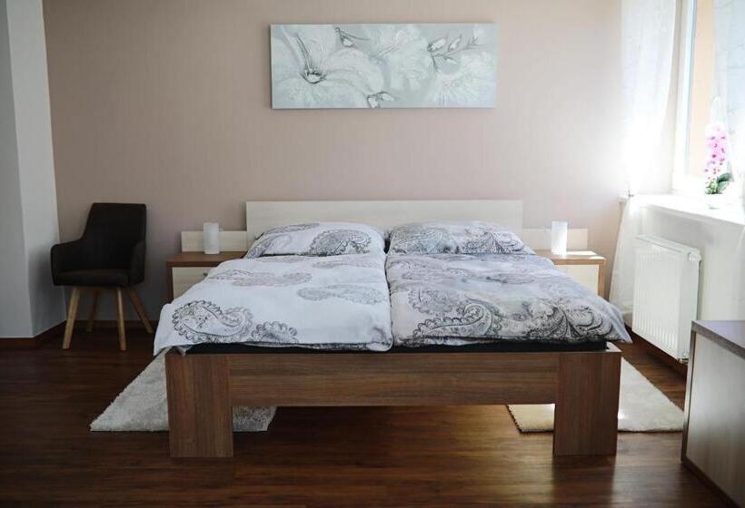 پانسیون Penzion Sokolská