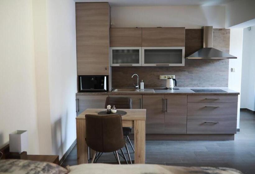 پانسیون Penzion Sokolská