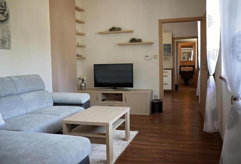 پانسیون Penzion Sokolská