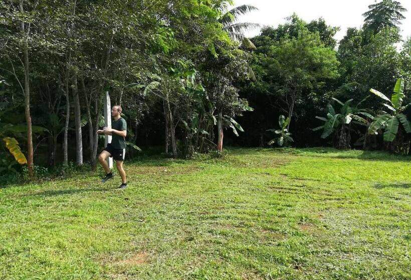 پانسیون Water S House