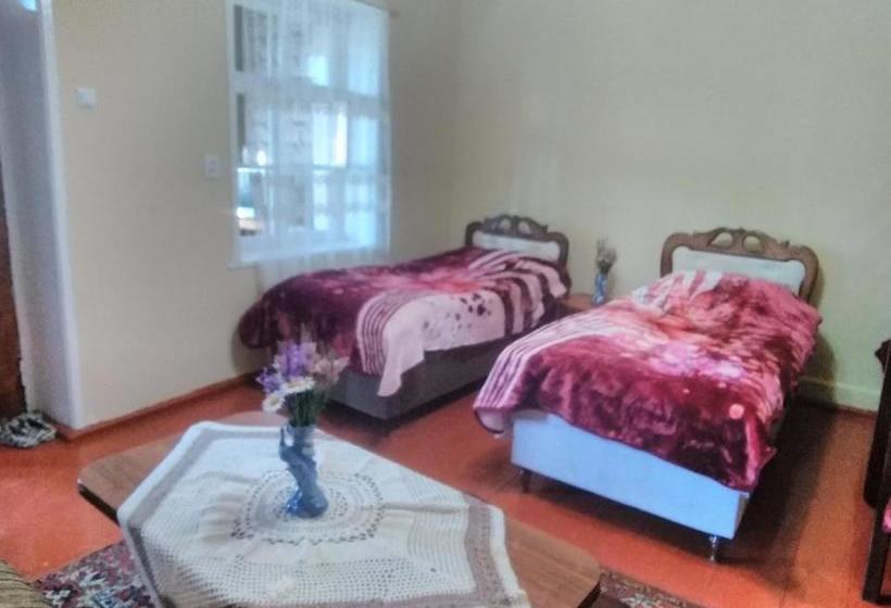 پانسیون Artush & Donaras B&b