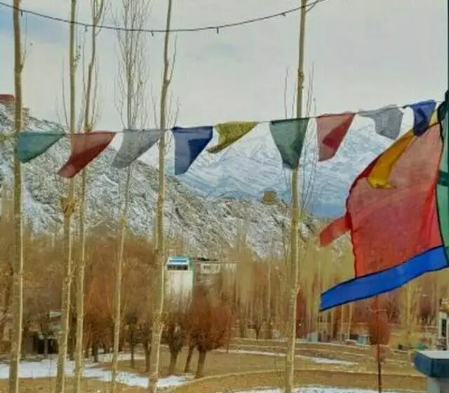 Majatalo The Morning Sky