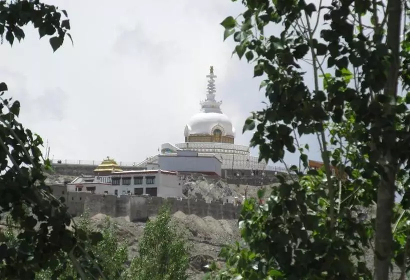 Majatalo The Morning Sky