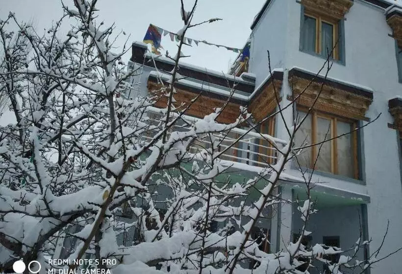 Majatalo The Morning Sky