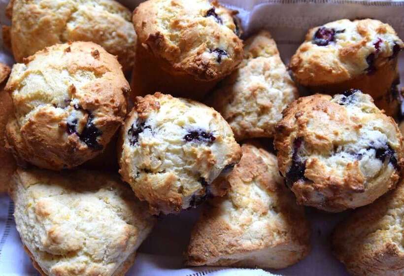 민박 Cass House Cayucos