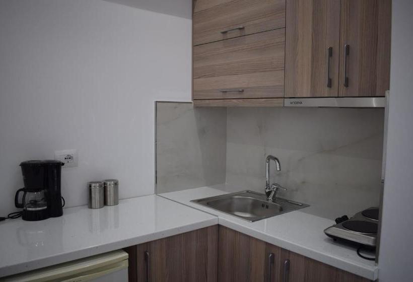 پانسیون Elena