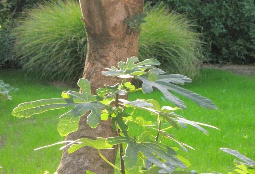 פנסיון Helga Vendégház