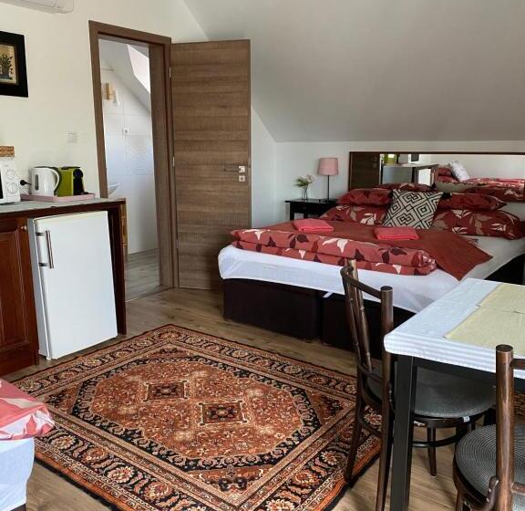 פנסיון Helga Vendégház