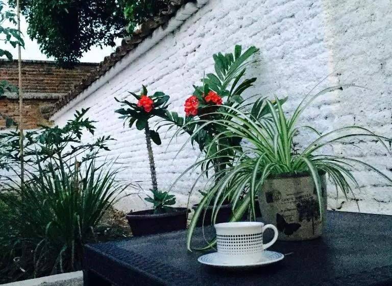 Majatalo Casa Helga A Dos Cuadras De La Basílica, Casa Entera Con Jardín Amplio, 6 Habitaciones, 5 Baños, Coc