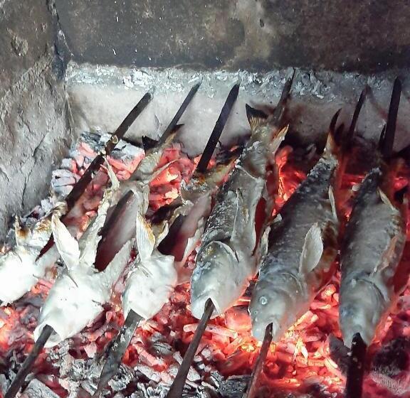 پانسیون Guest House Ucha