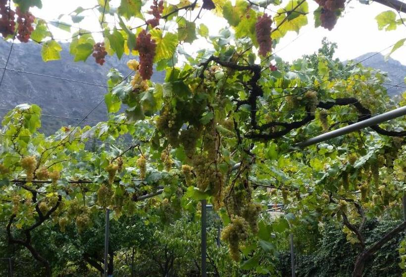 پانسیون Guest House Ucha