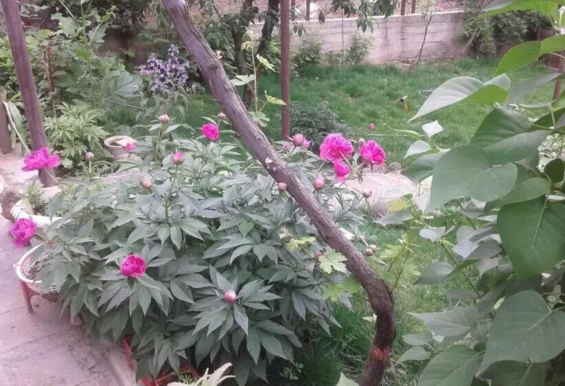 پانسیون Guest House Ucha