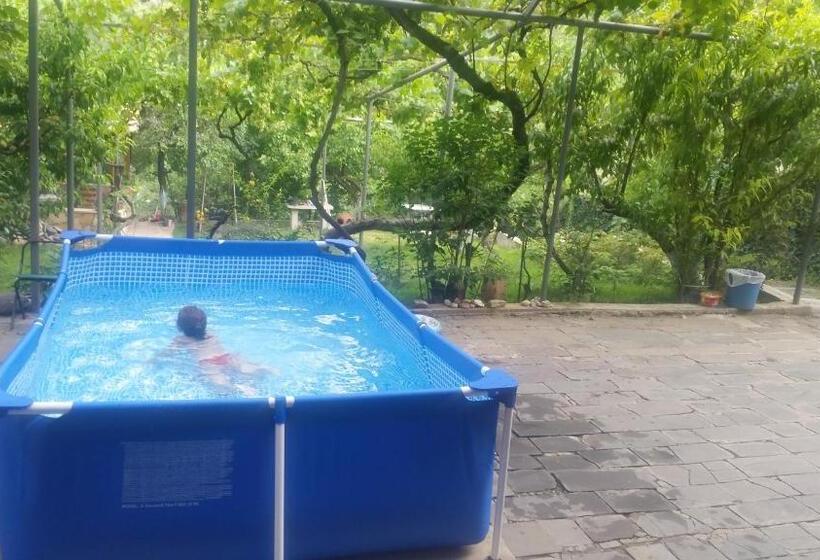 پانسیون Guest House Ucha