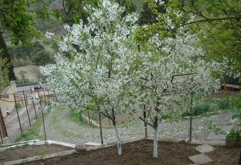 پانسیون Guest House Ucha