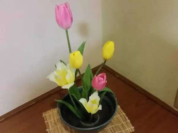 ペンション Hiroya Inn