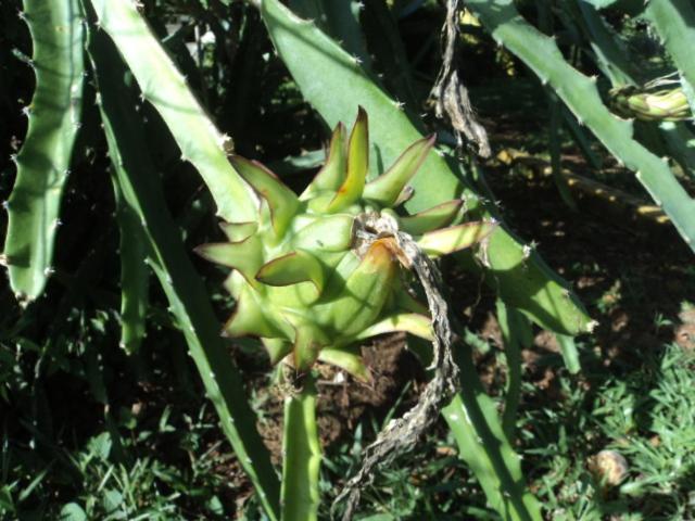 Общежитие Posada Rural Oasis