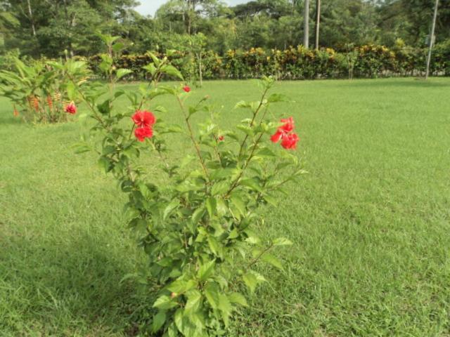 Общежитие Posada Rural Oasis