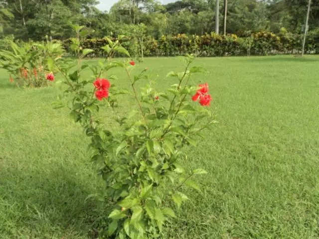 Retkeilymaja Posada Rural Oasis