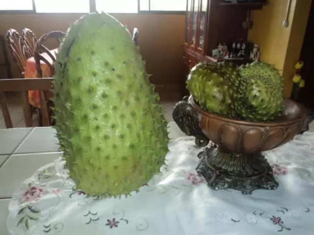 Retkeilymaja Posada Rural Oasis