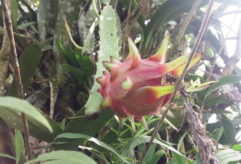 Общежитие Posada Rural Oasis