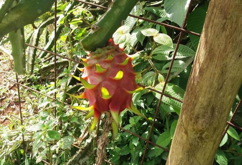 Общежитие Posada Rural Oasis