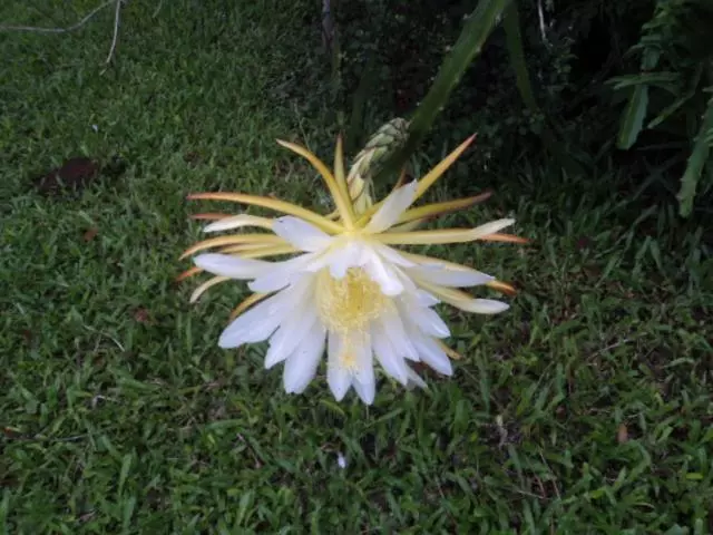 Retkeilymaja Posada Rural Oasis