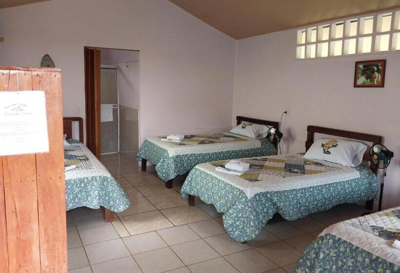 Общежитие Posada Rural Oasis