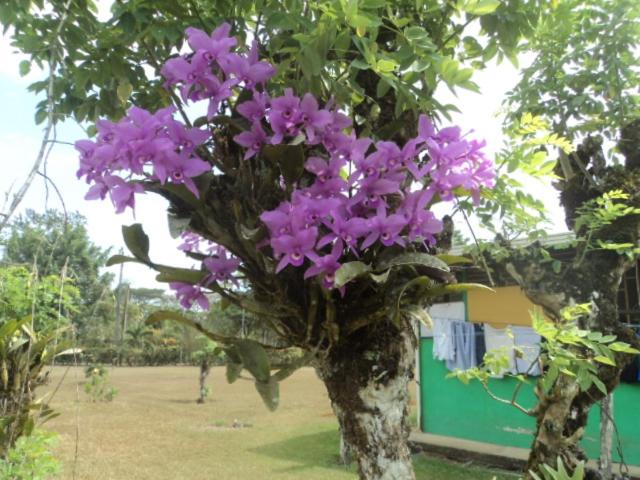 Общежитие Posada Rural Oasis