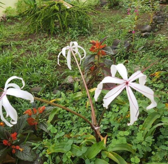 Общежитие Posada Rural Oasis