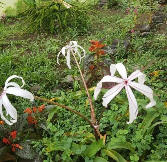 Retkeilymaja Posada Rural Oasis