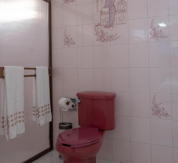 Loft Sabalo Pet Friendly