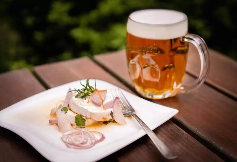 Majatalo Penzion Labska Marina