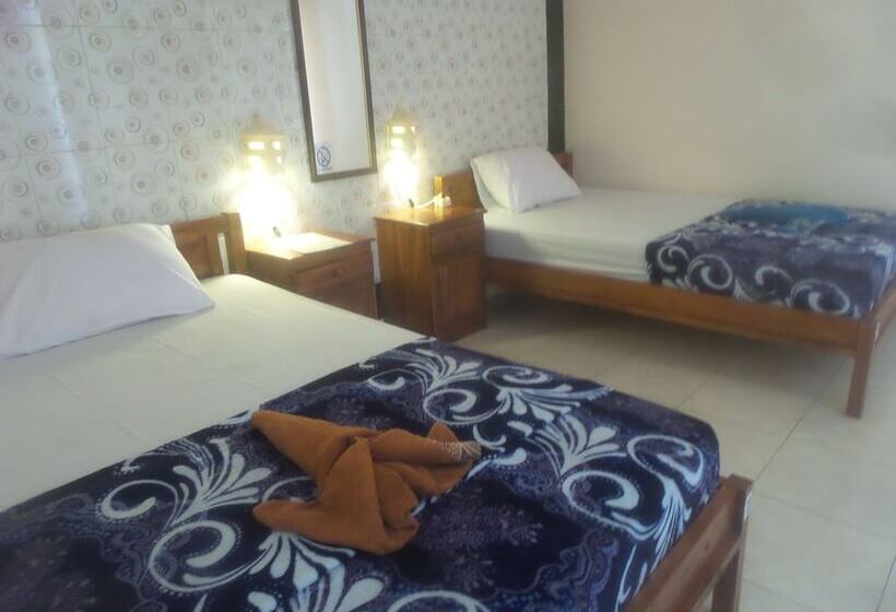 펜션 Summer Guesthouse Lovina