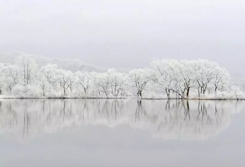 ユースホステル Country Inn Mori No Gorilla