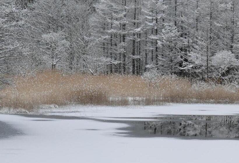 הוסטל Country Inn Mori No Gorilla