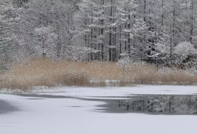 ユースホステル Country Inn Mori No Gorilla