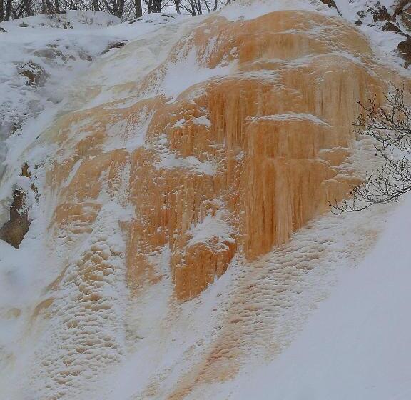 הוסטל Country Inn Mori No Gorilla