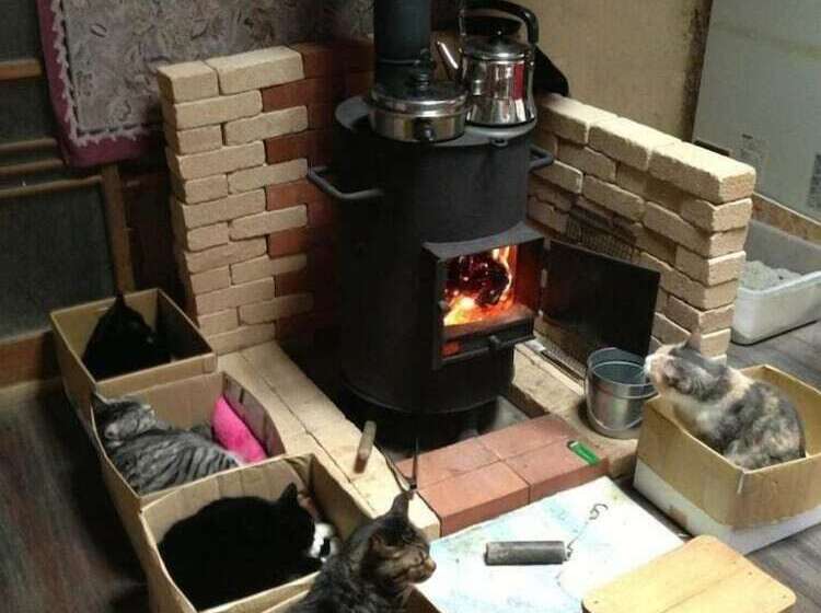 בית מלון כפרי Dosanko Mira Farm